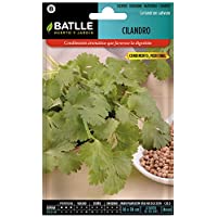 Los mejores  - Semillas Aromáticas - Cilandro - Batlle